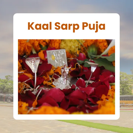 Kaal Sarp Puja