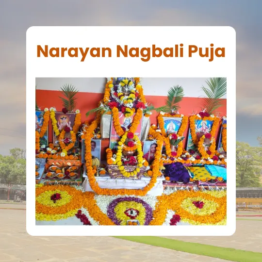 Narayan Nagbali Puja